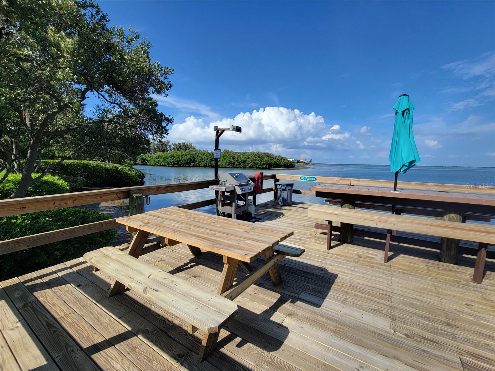 1515 Pinellas Bayway S #38 Property Photo 11