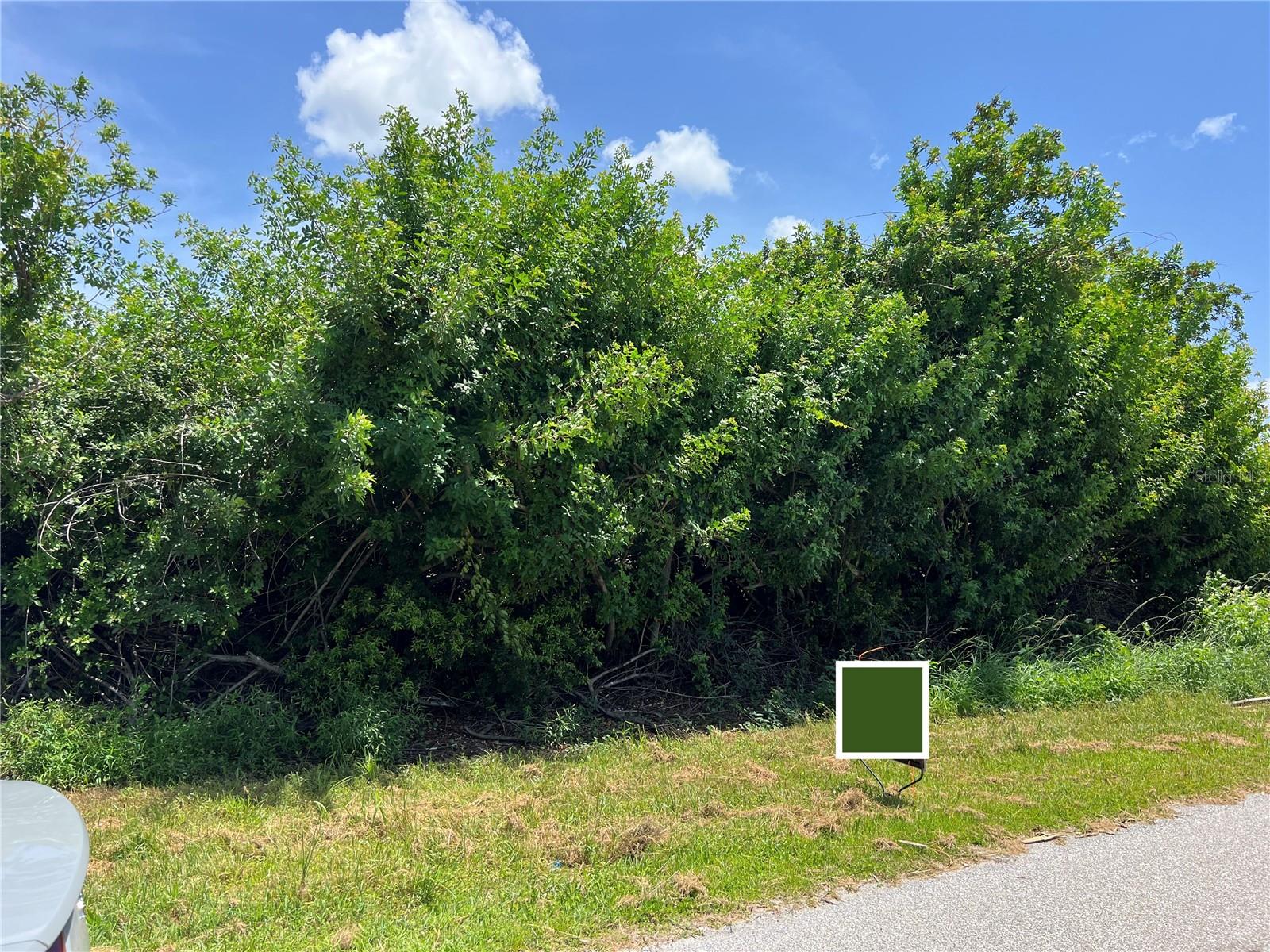 11082 Carnegie Ave Property Photo 2