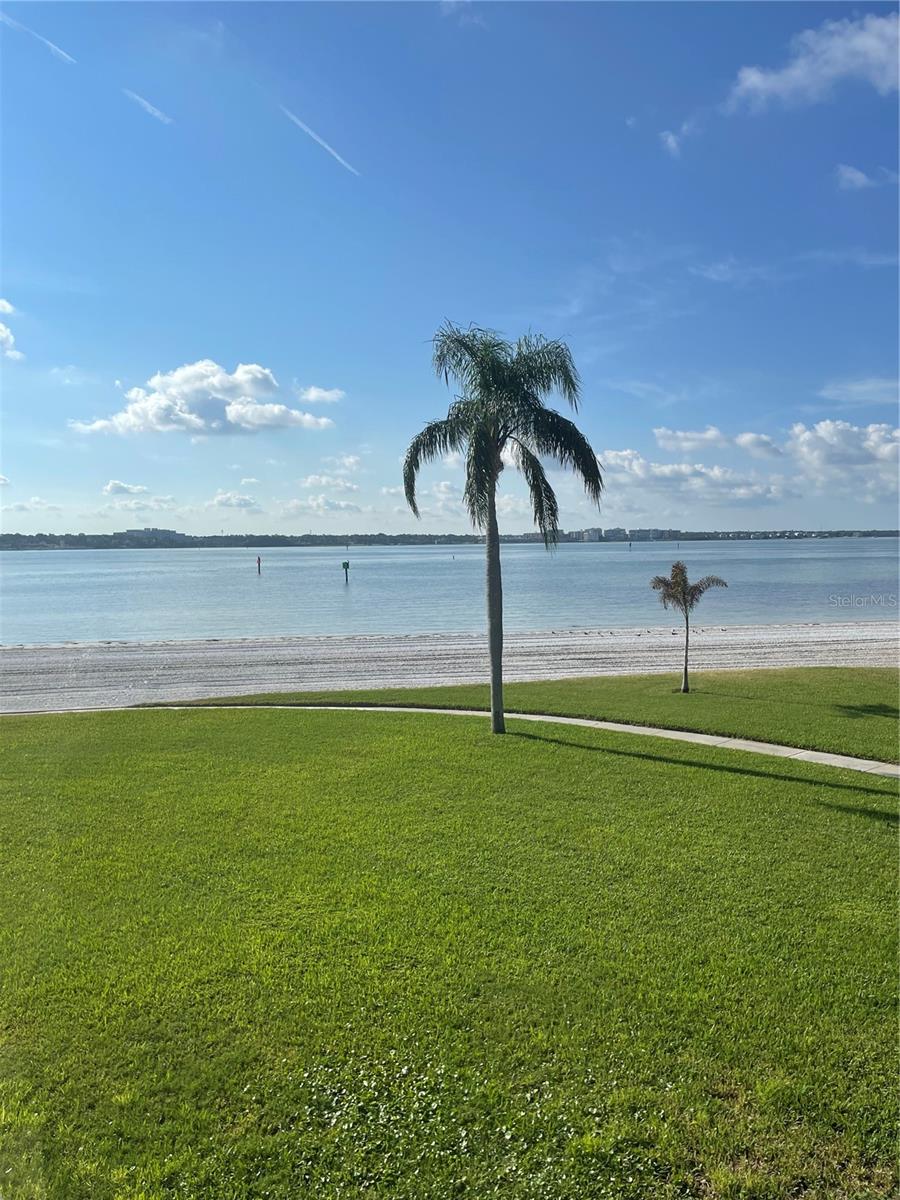 895 S Gulfview Blvd #202 Property Photo 40