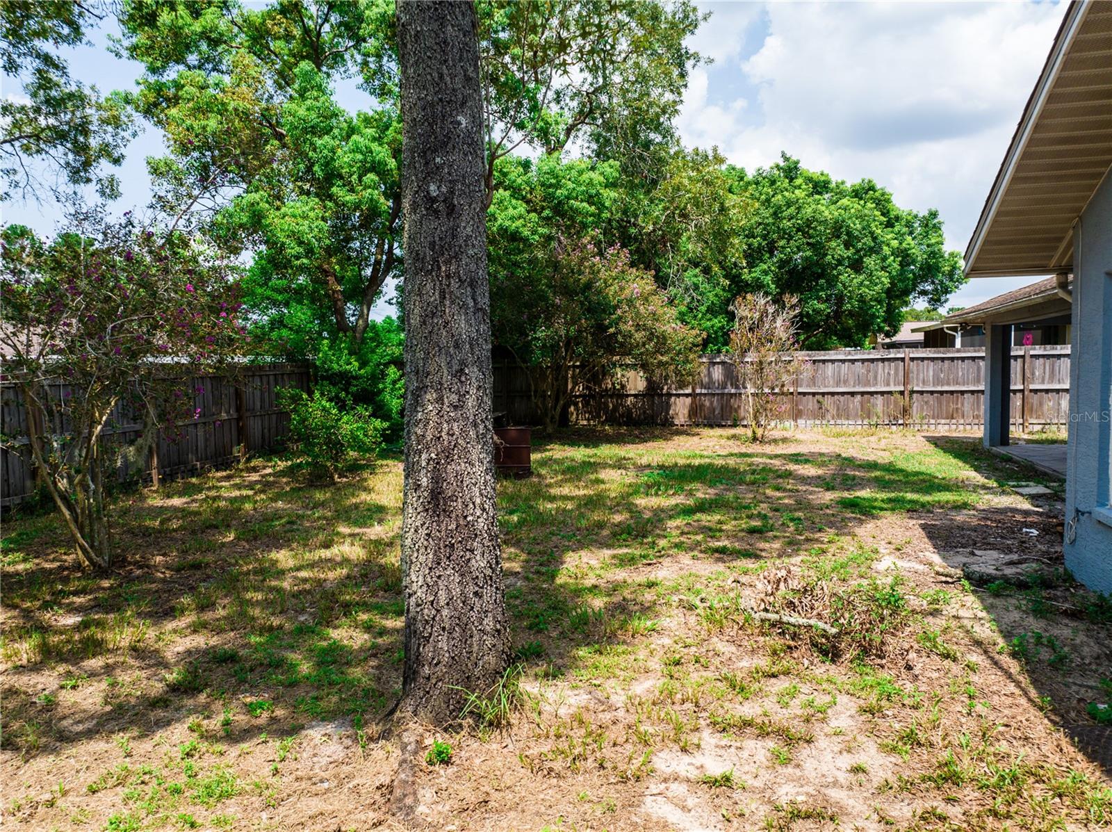 11317 Timbercrest Road Property Photo 3