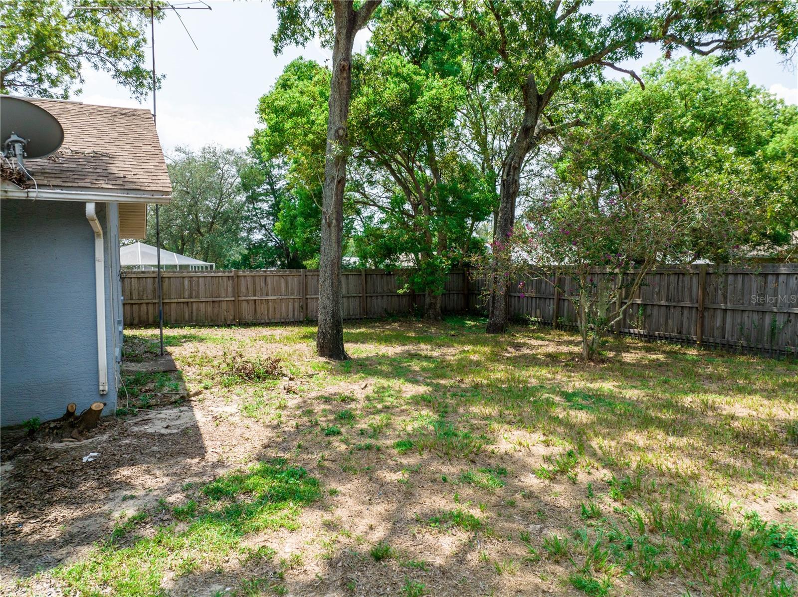 11317 Timbercrest Road Property Photo 4