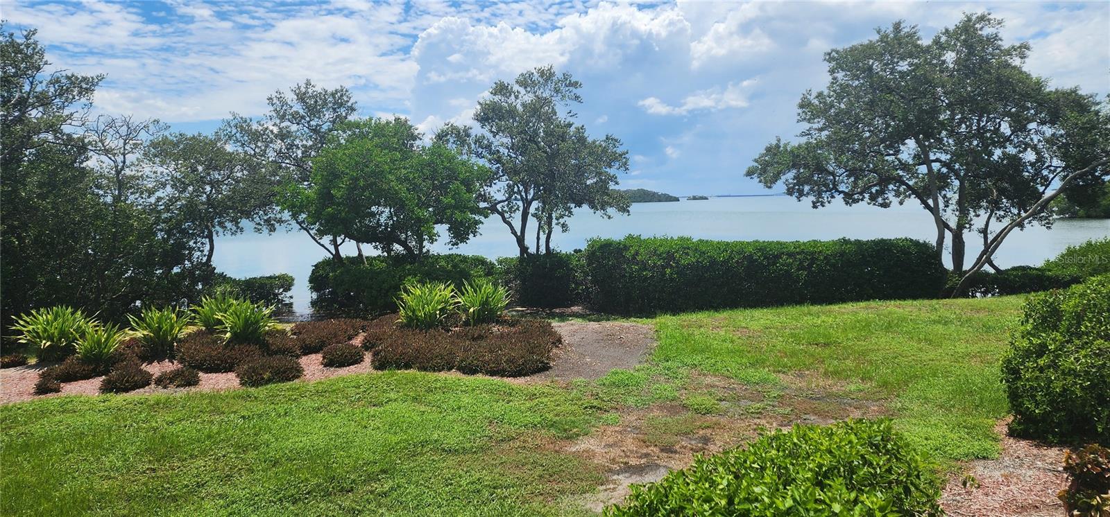 1515 PINELLAS BAYWAY S #62 Property Photo 1