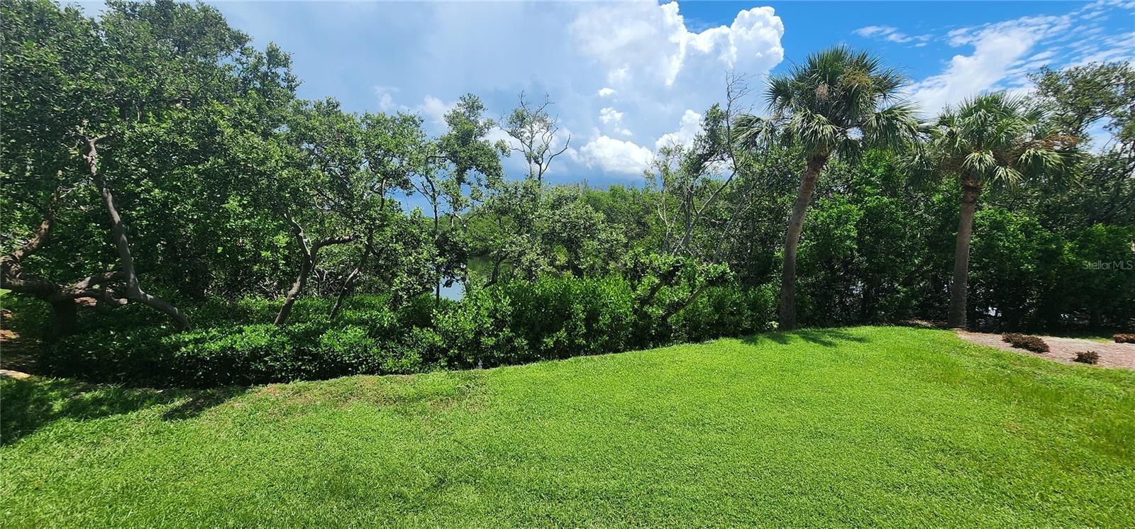 1515 Pinellas Bayway S #62 Property Photo 31
