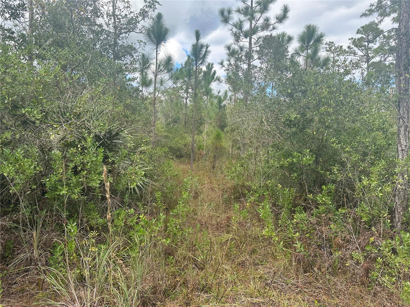 1106 Greenbriar Dr Property Photo 1
