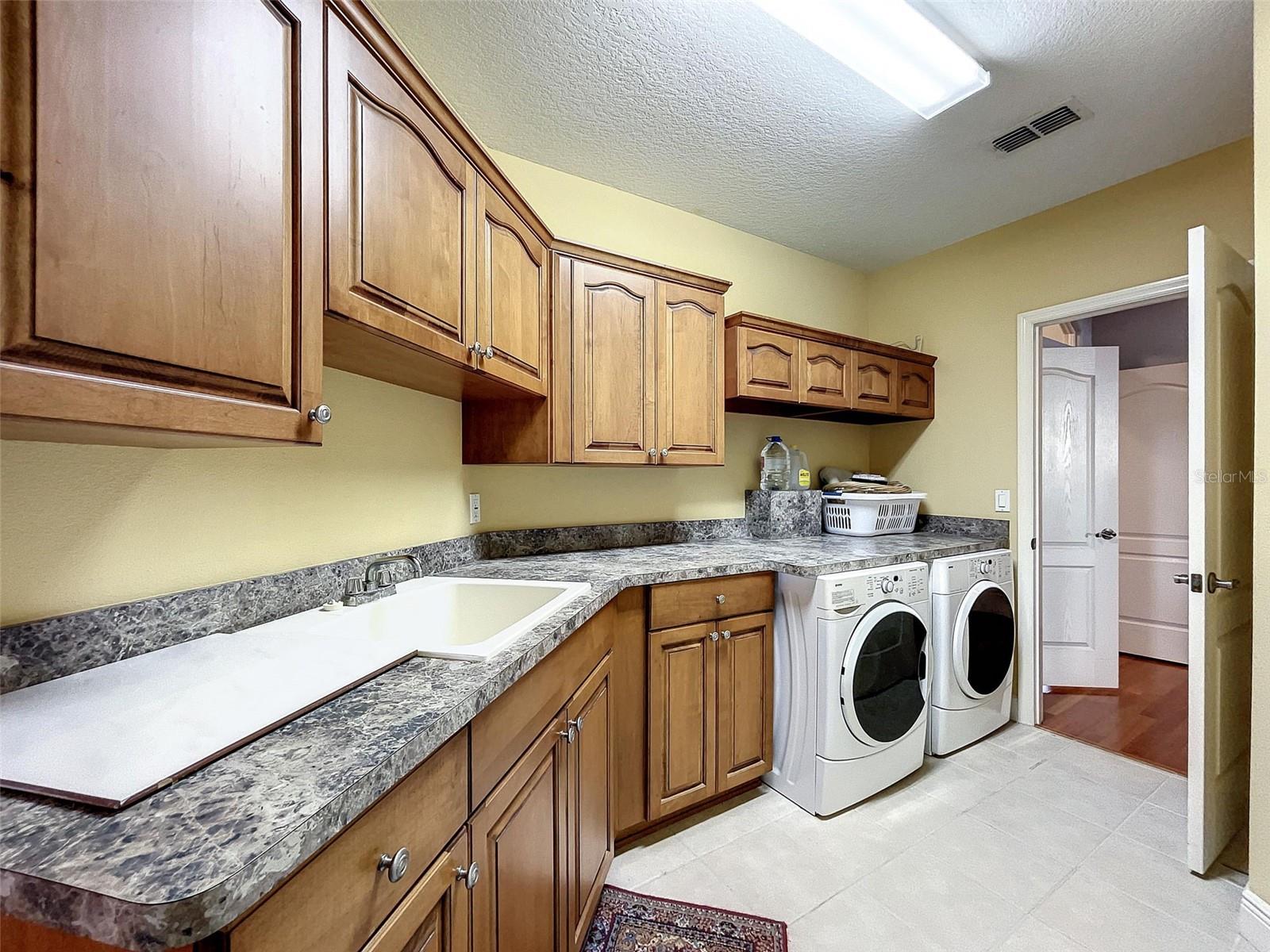 2066 N Pointe Alexis Dr Property Photo 52