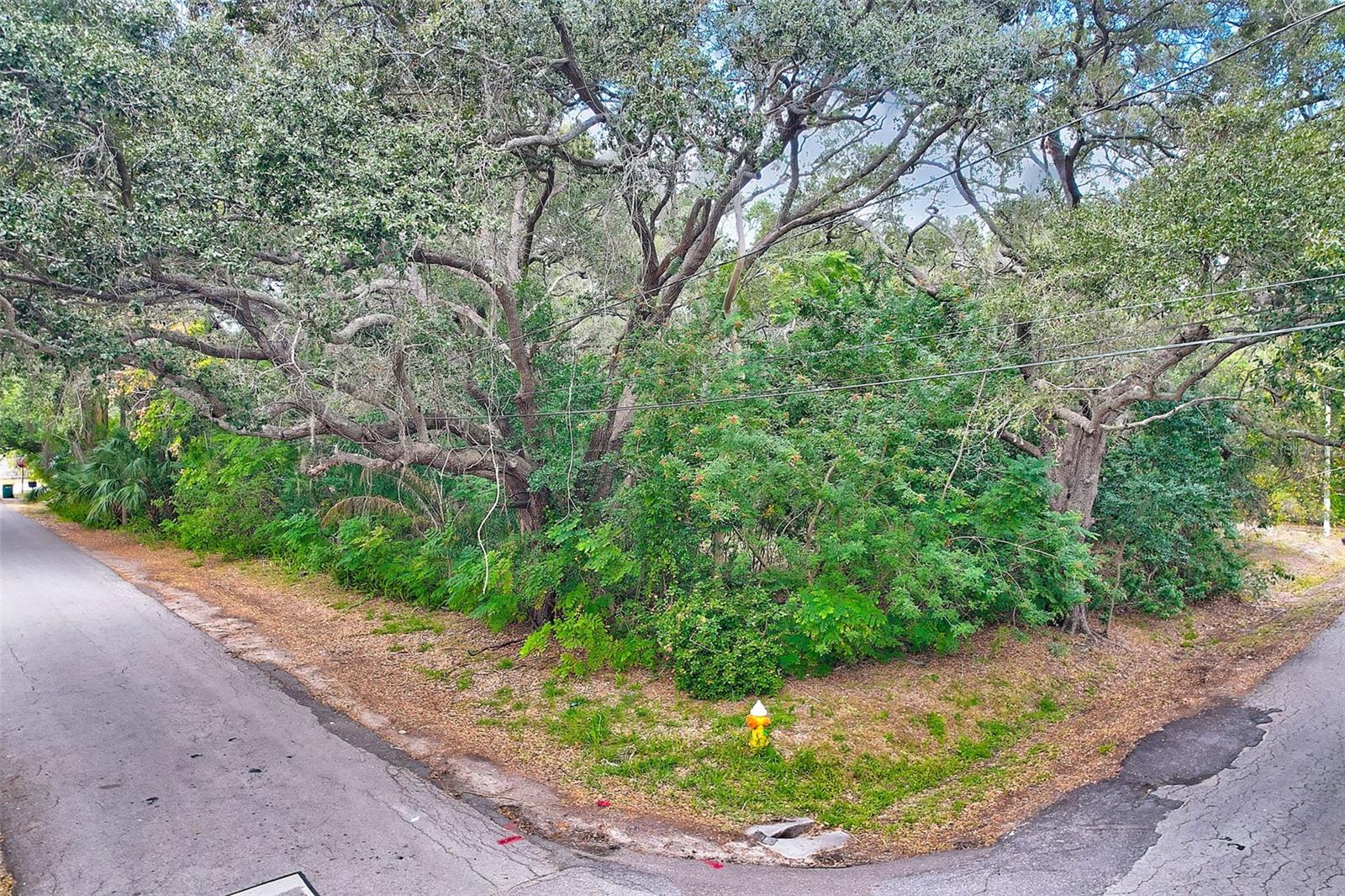 1838 Sylvan Dr Property Photo 2