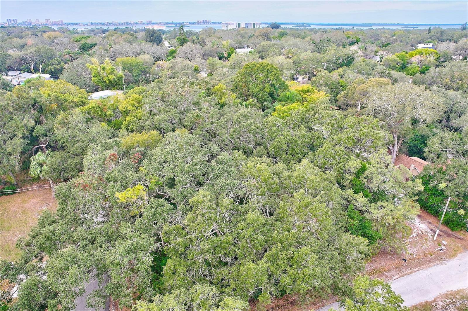 1838 Sylvan Dr Property Photo 4