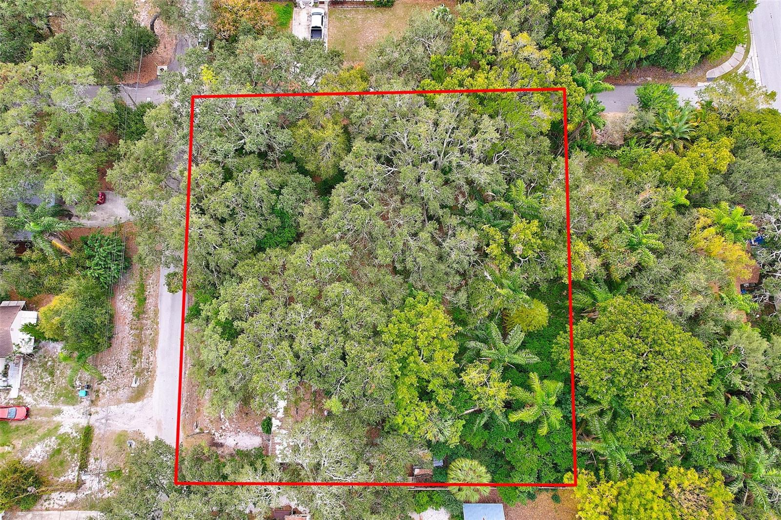 1838 Sylvan Dr Property Photo 4