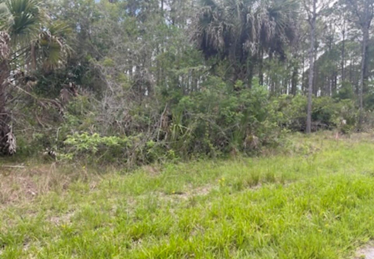 0954126609 Averette Ave Property Photo 11