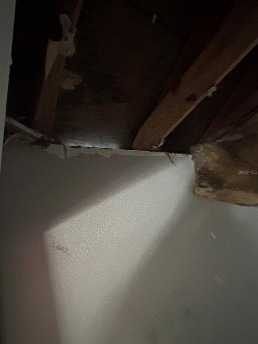 22979 Ne County Rd #200b Property Photo 10
