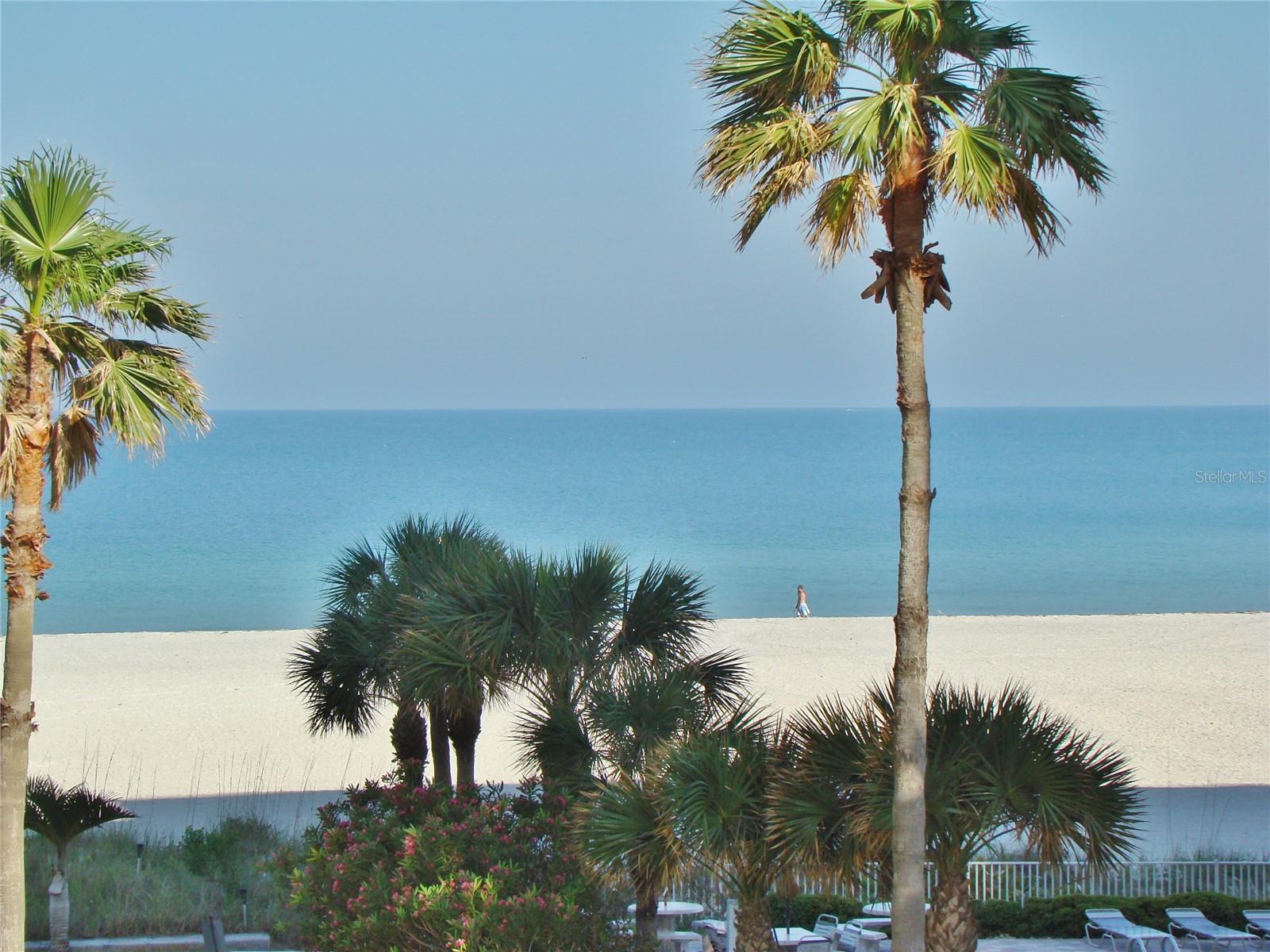 1380 Gulf Blvd #206 Property Photo 2