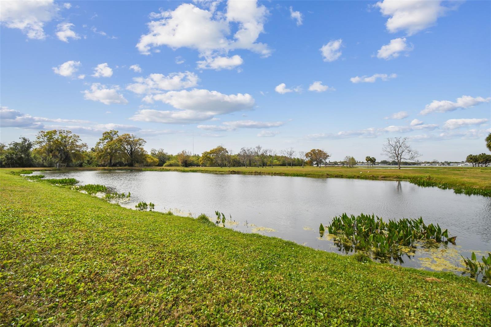Kibler Ln Property Photo 34