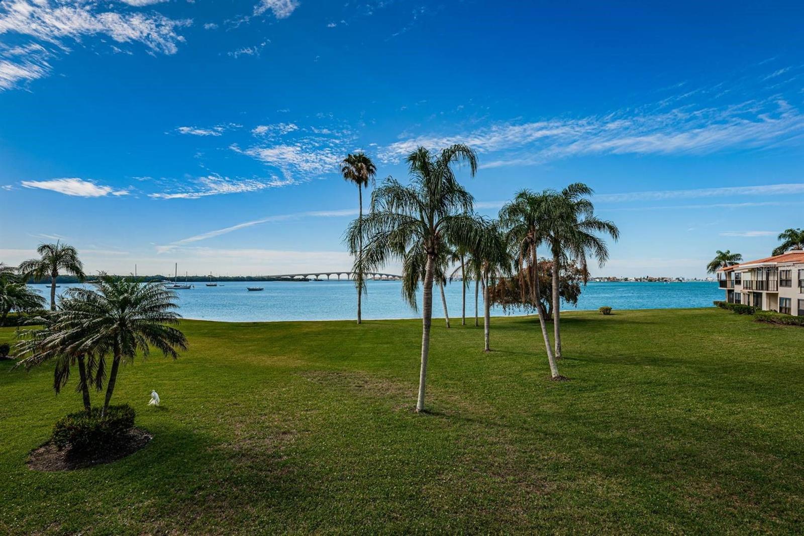 6295 Bahia Del Mar Cir #216 Property Photo 19