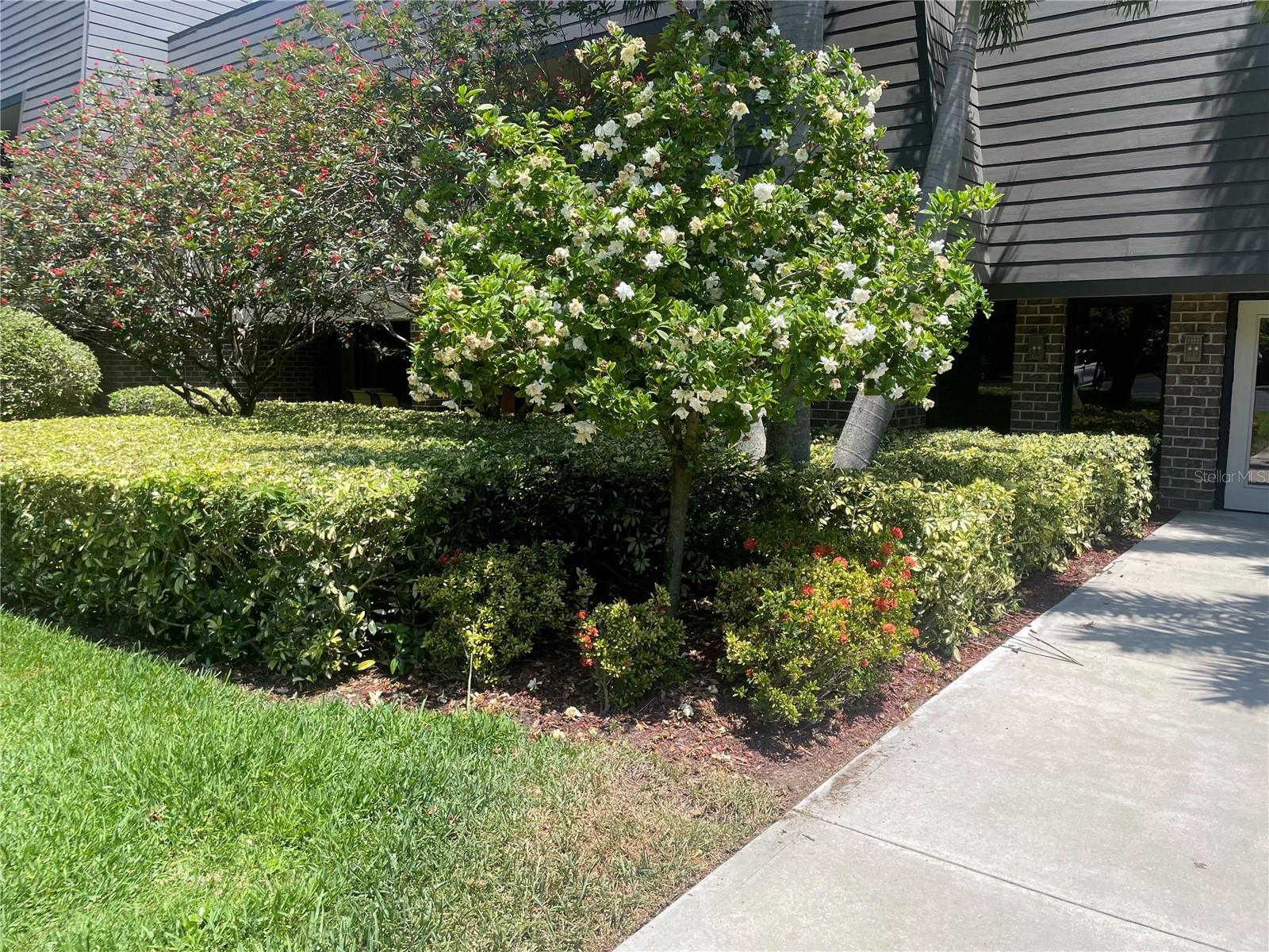 36750 Us Highway 19 N #15-310 Property Photo 3