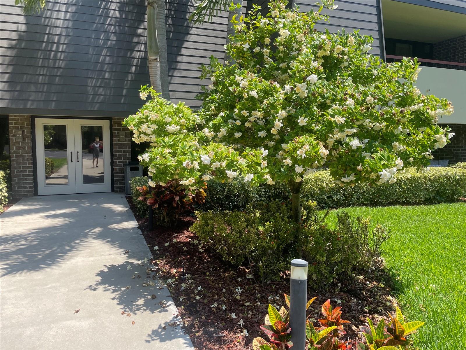 36750 Us Highway 19 N #15-310 Property Photo 5