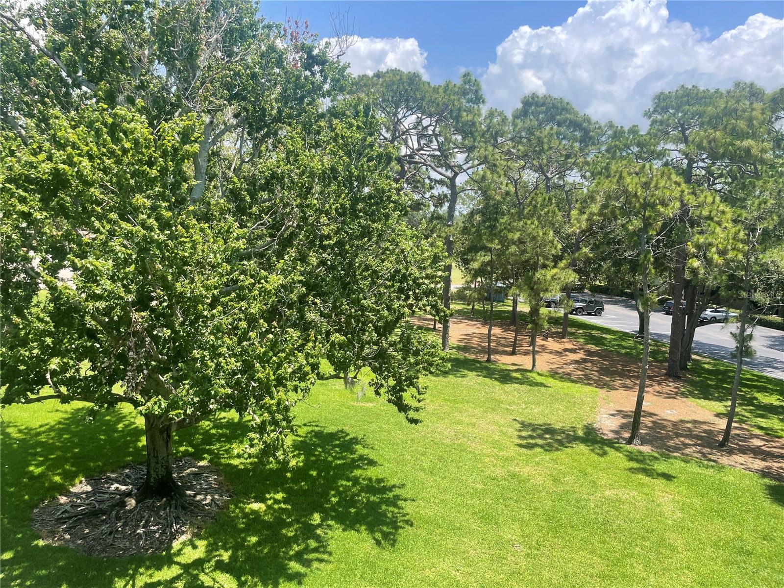 36750 Us Highway 19 N #15-310 Property Photo 9