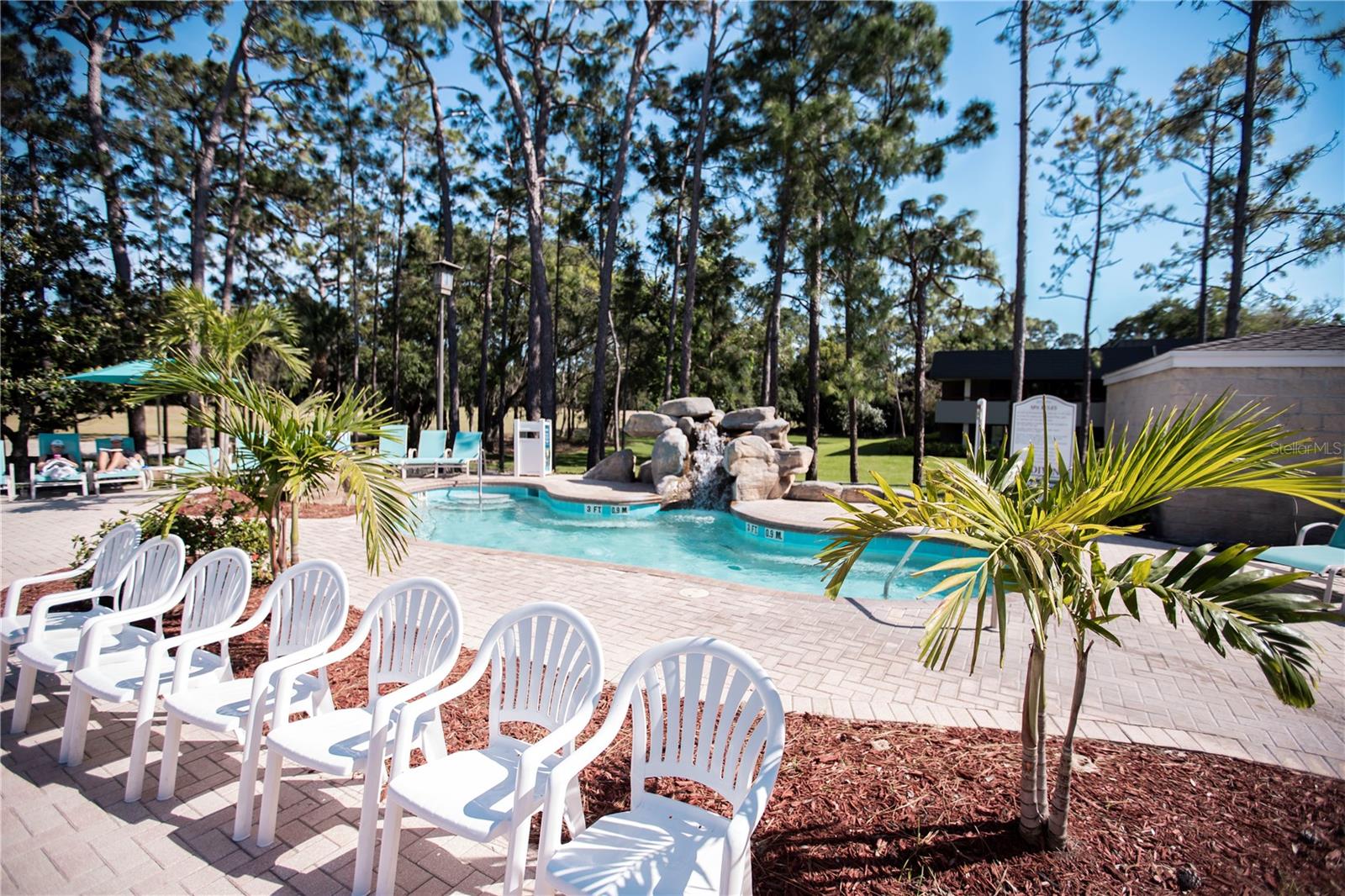 36750 Us Highway 19 N #15-310 Property Photo 41