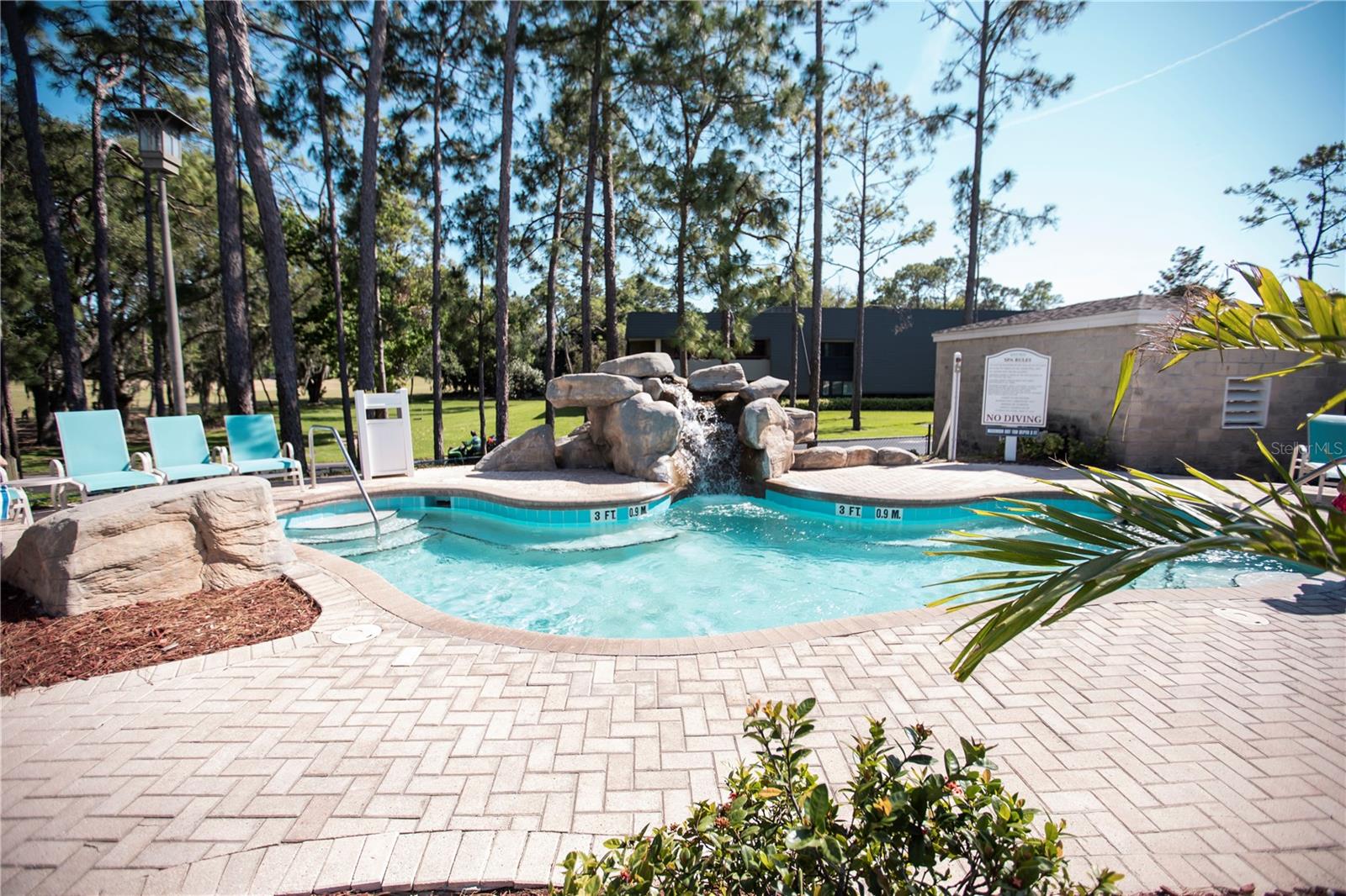 36750 Us Highway 19 N #15-310 Property Photo 46