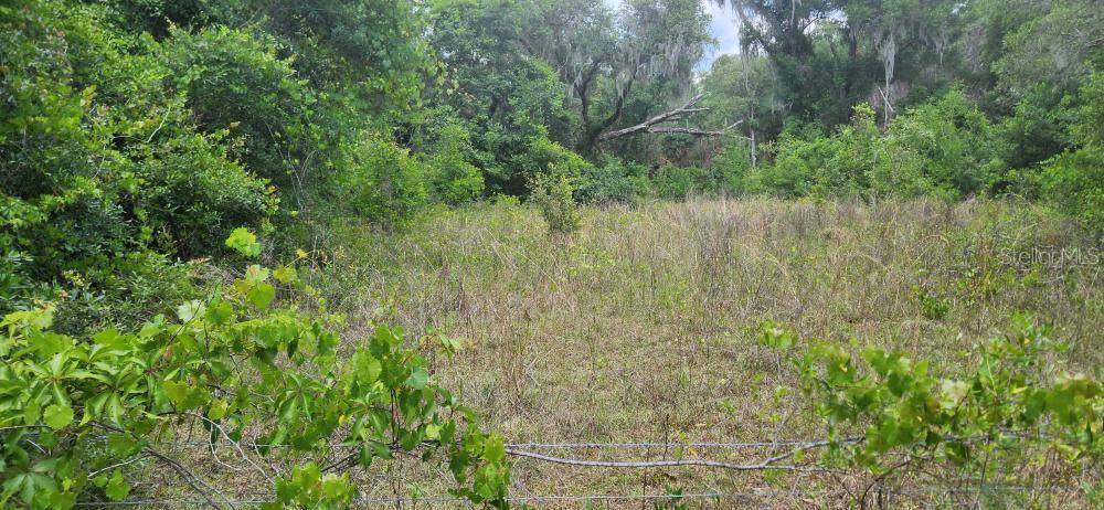 Wpa Rd Property Photo 4