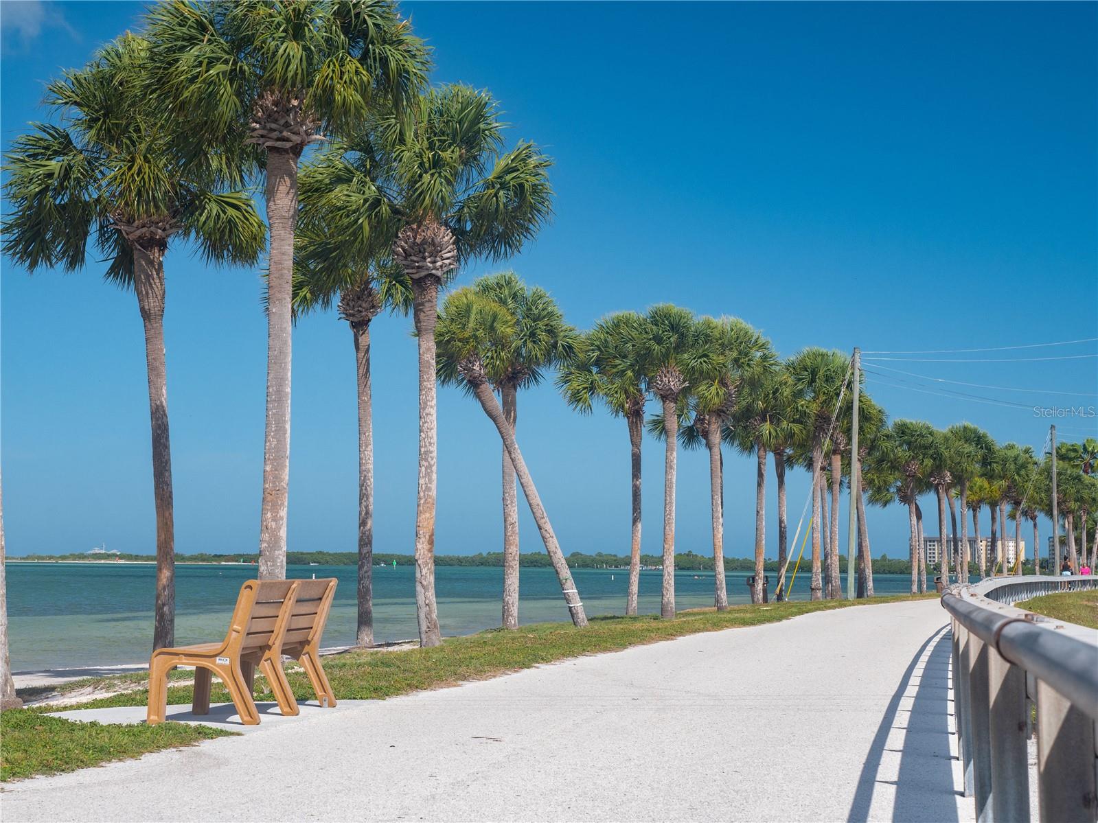 1414 Bayshore Blvd #309 Property Photo 42