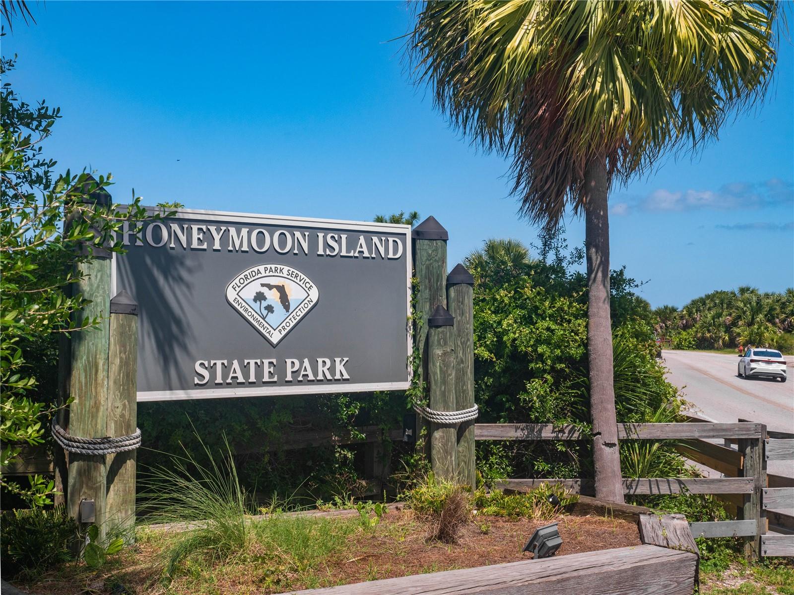1414 Bayshore Blvd #309 Property Photo 43