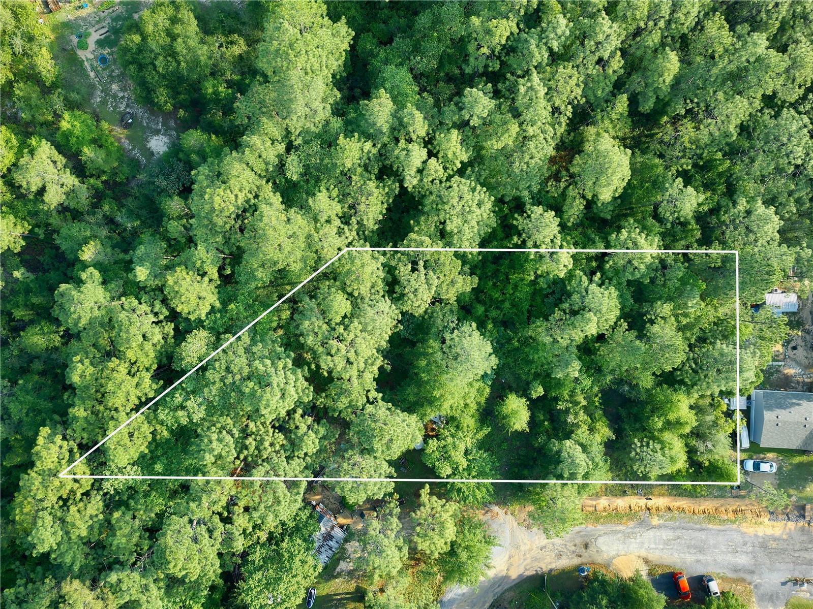 Pinetree Ln Property Photo 2