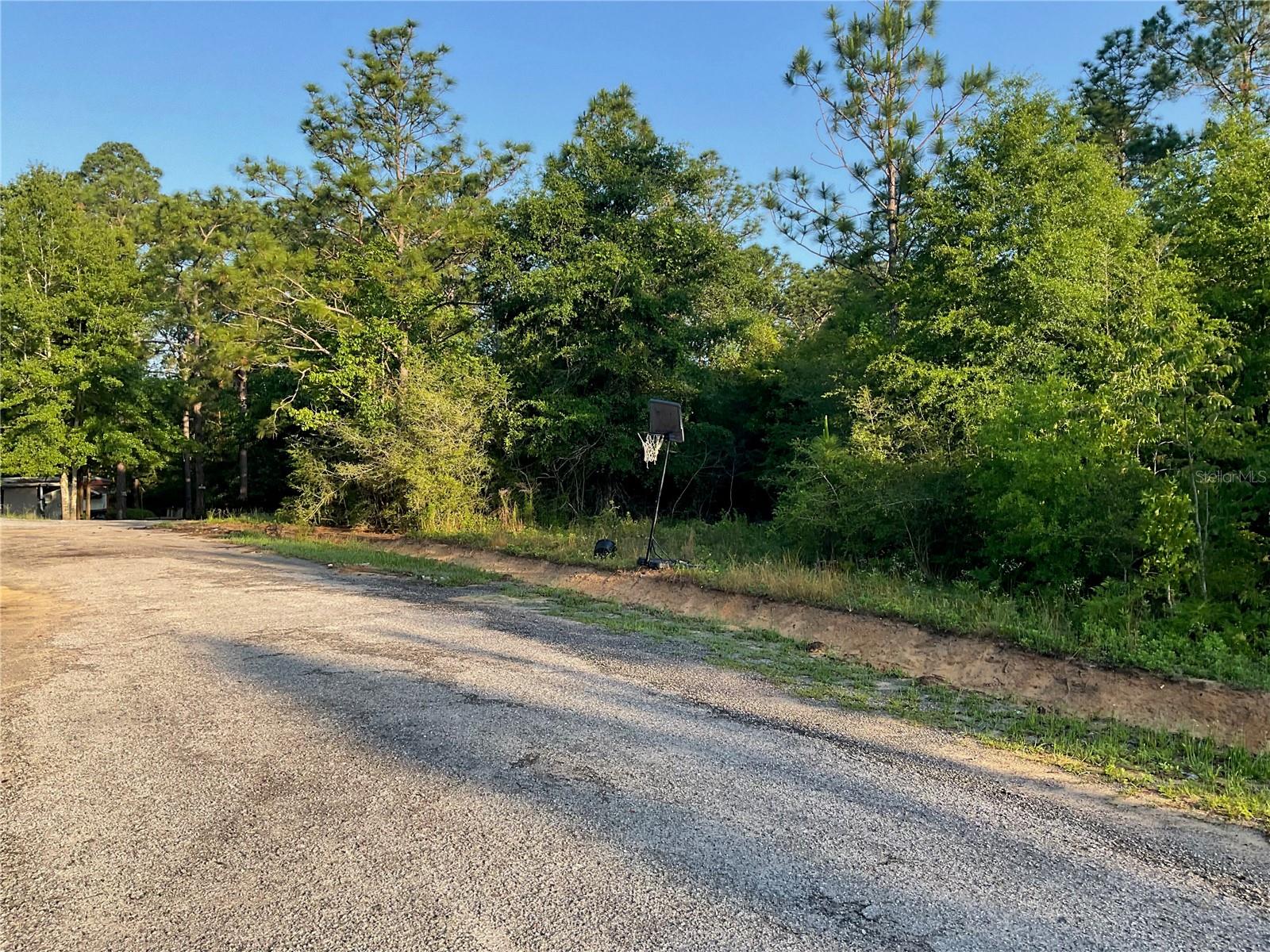 Pinetree Ln Property Photo 14