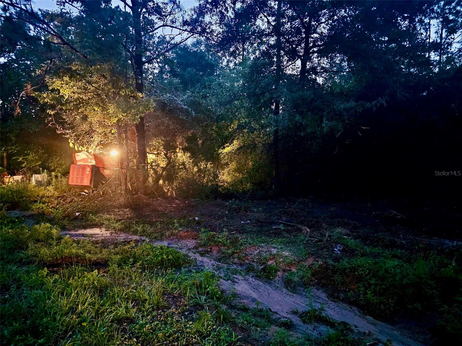 Pinetree Ln Property Photo 17