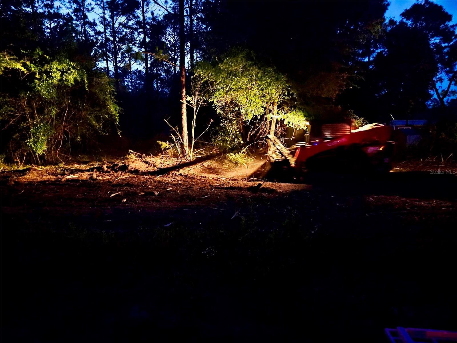 Pinetree Ln Property Photo 20