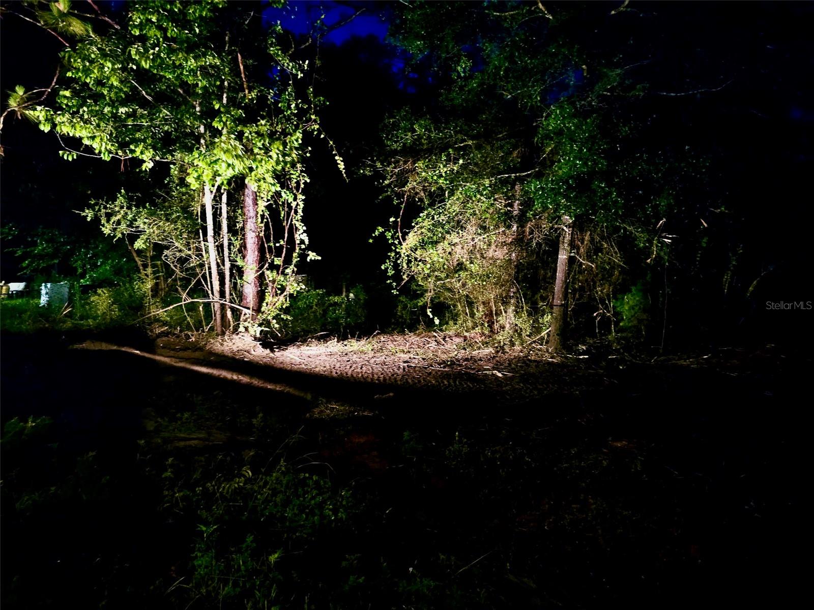 Pinetree Ln Property Photo 21