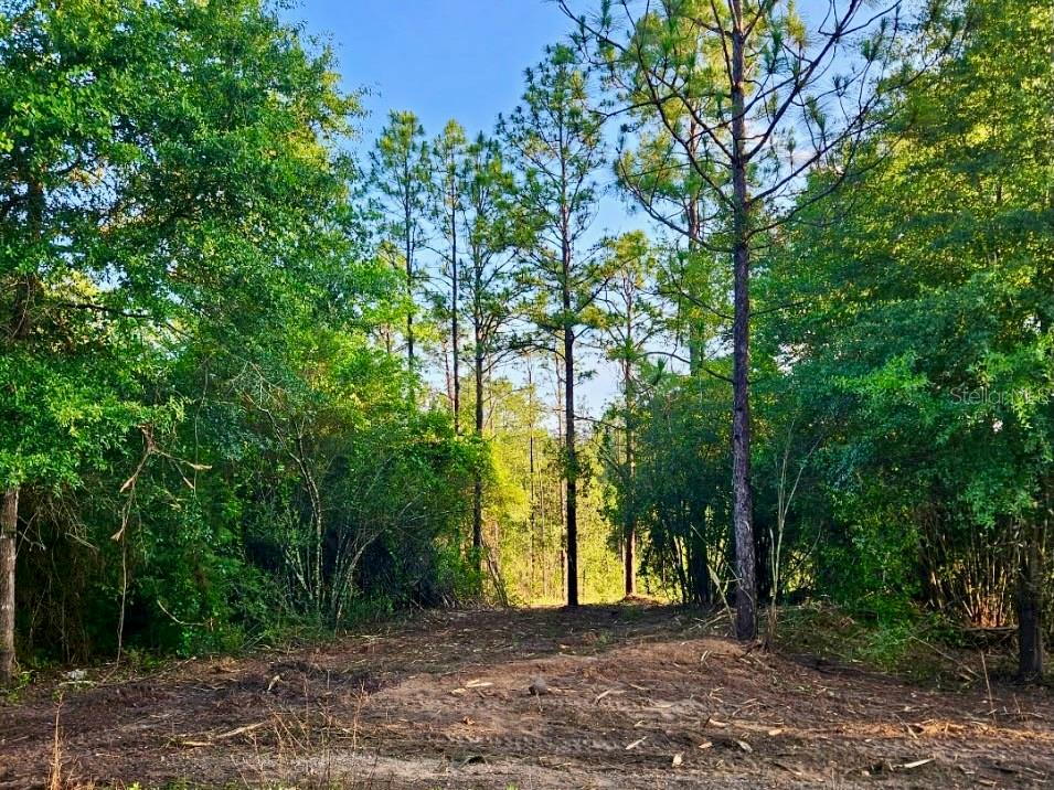 Pinetree Ln Property Photo 25