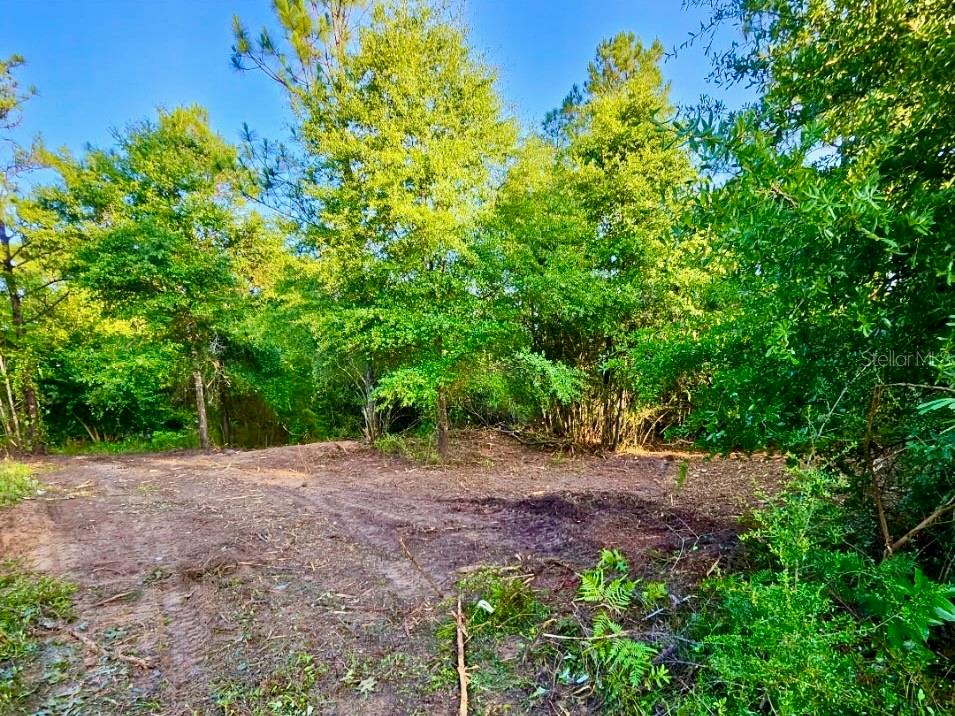 Pinetree Ln Property Photo 27