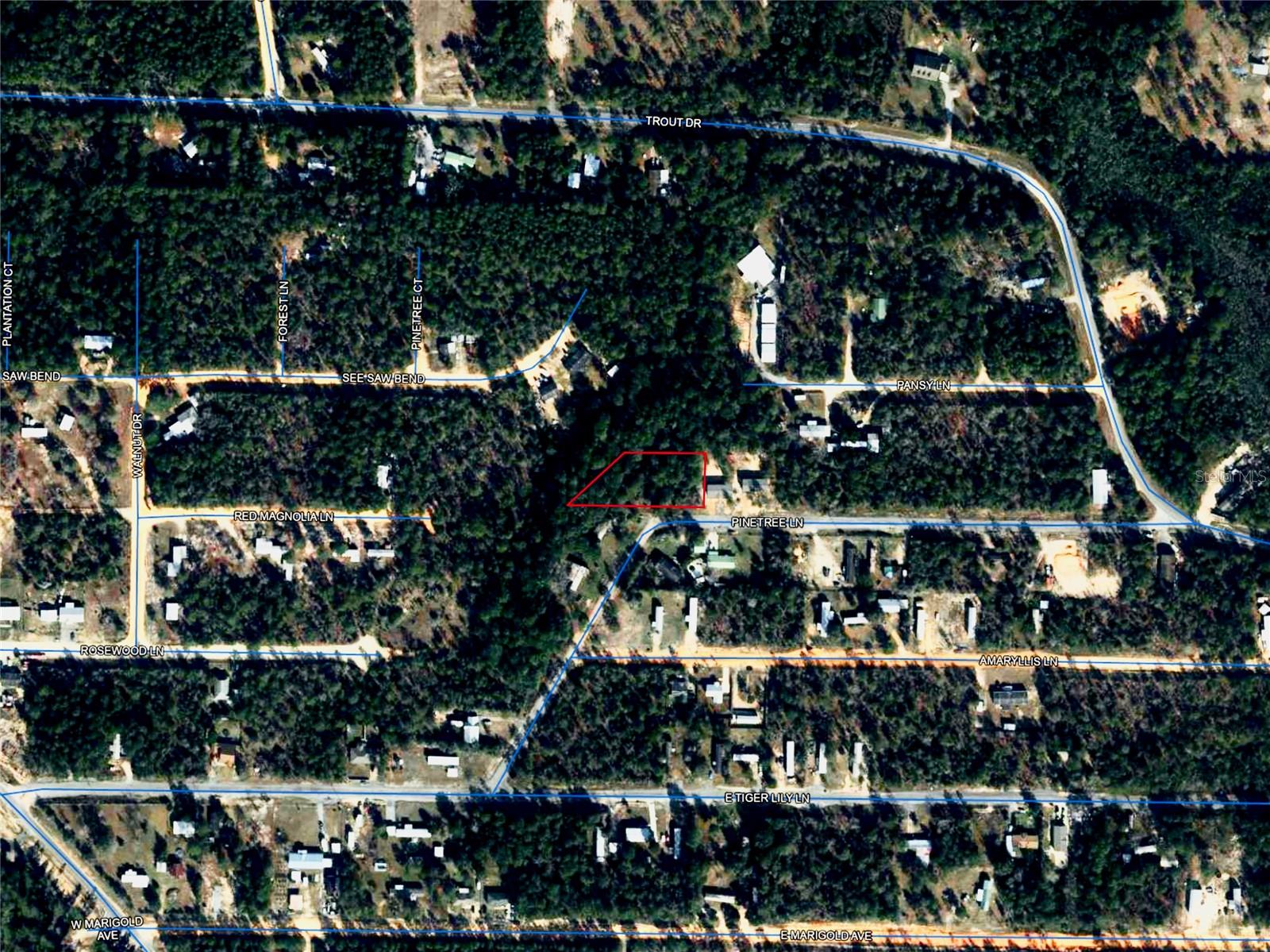 Pinetree Ln Property Photo 38