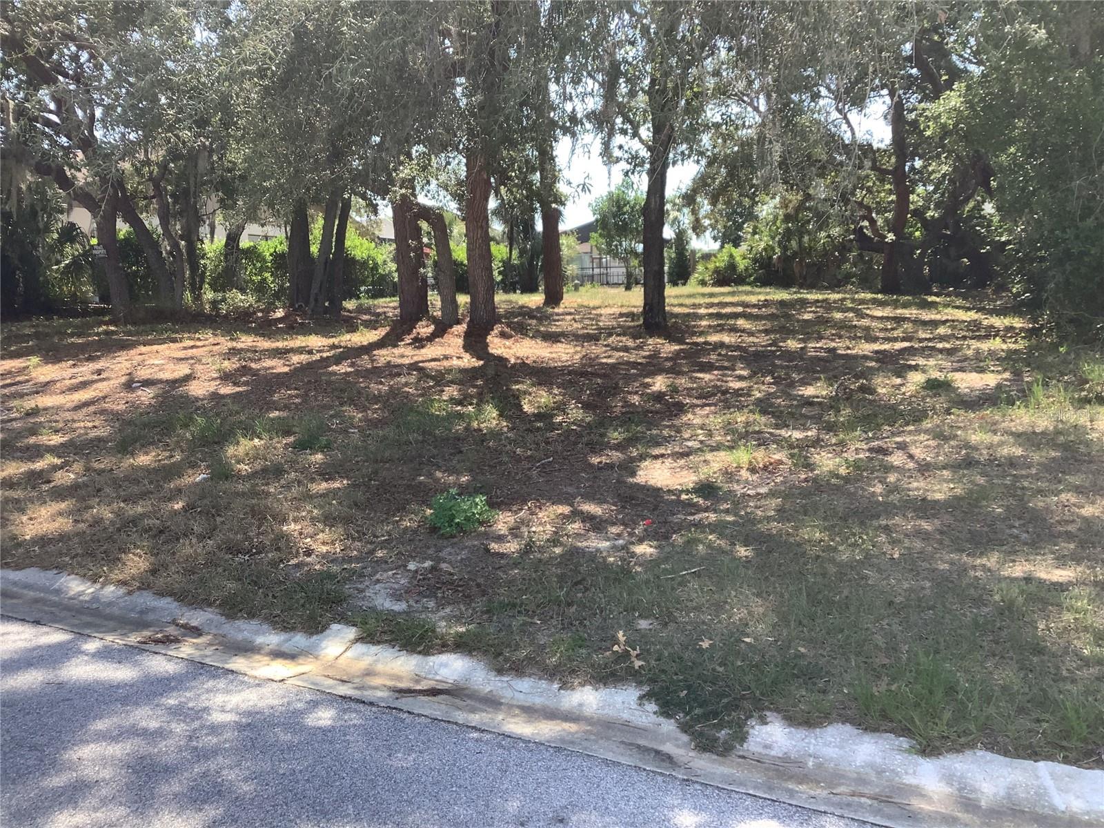 18657 White Pine Cir Property Photo 4