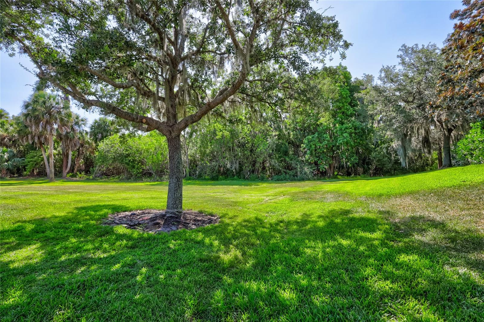 10426 48th Ct E Property Photo 28