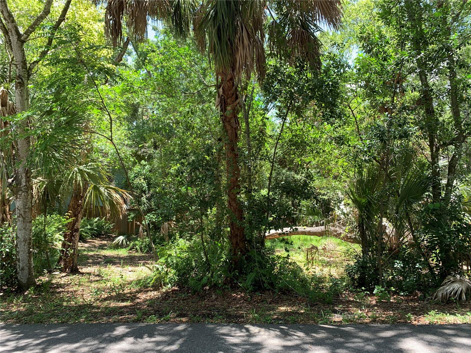 Center Ave Property Photo 1