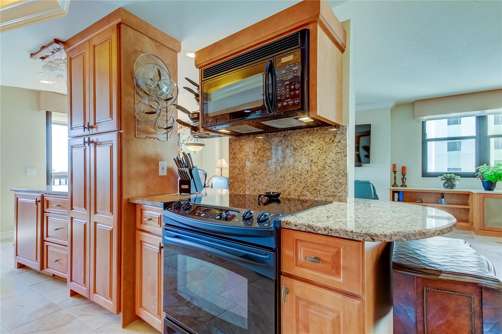3820 Gulf Blvd #608 Property Photo 15