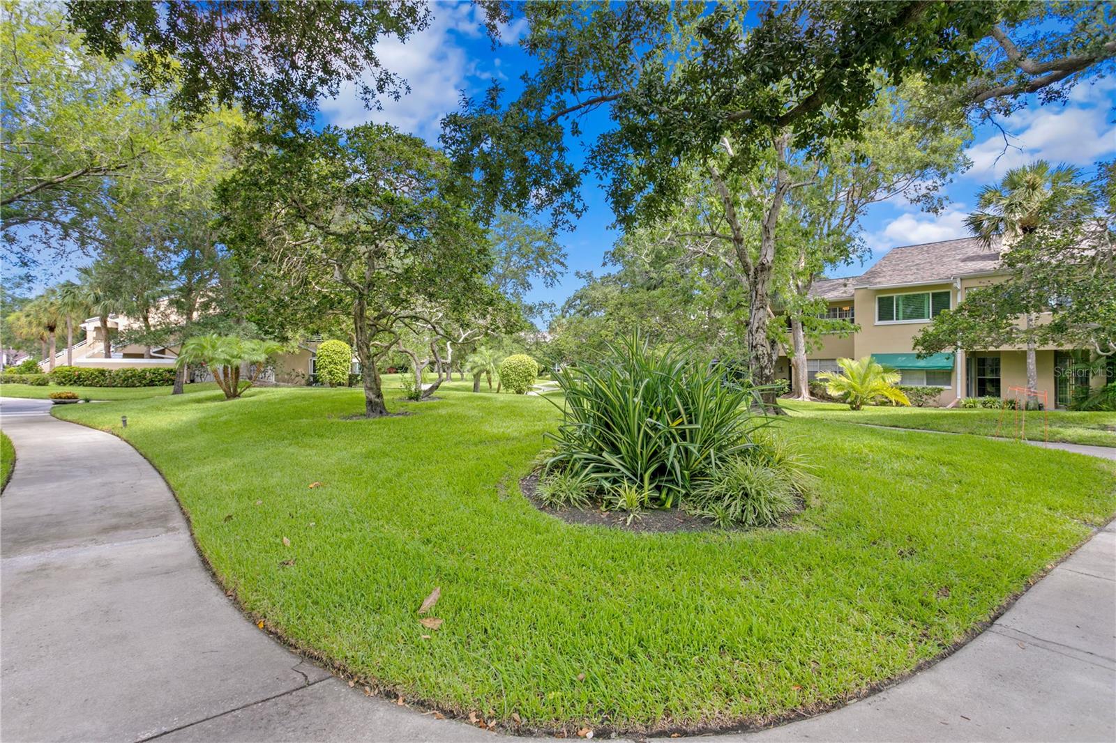 10823 Indian Hills Ct #33 Property Photo 34