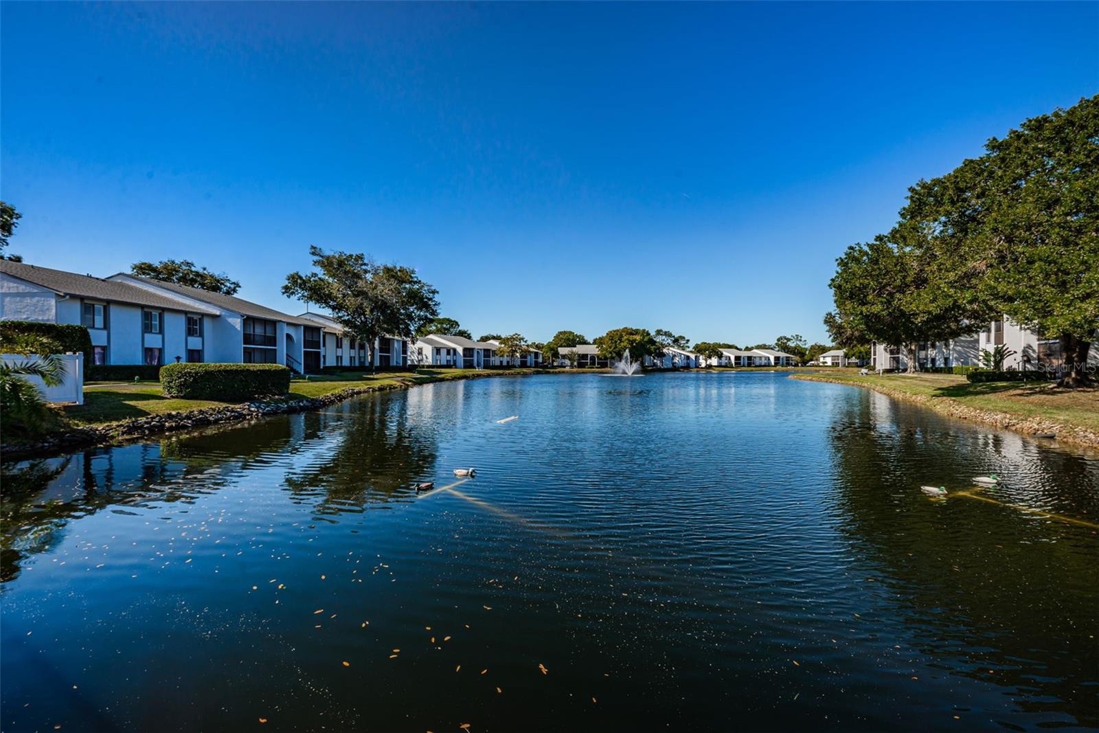 1170 Pine Ridge Cir W #c2 Property Photo 49