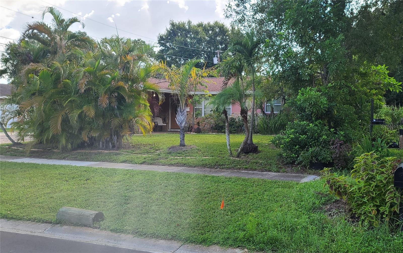 8665 Mockingbird Ln Property Photo 14