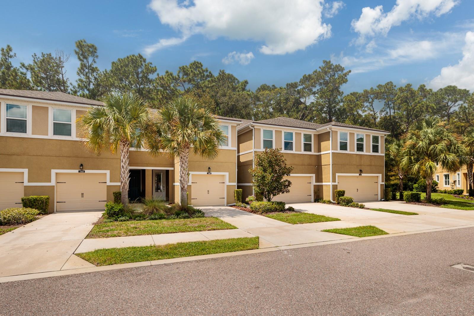 17860 Althea Blue Pl Property Photo 1