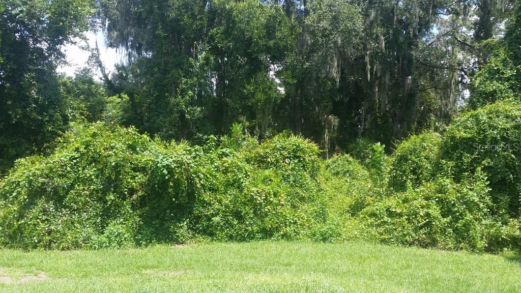 823 Debary Ave Property Photo 19