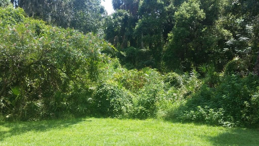 823 Debary Ave Property Photo 20