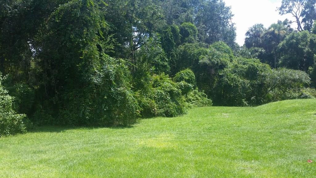 823 Debary Ave Property Photo 21