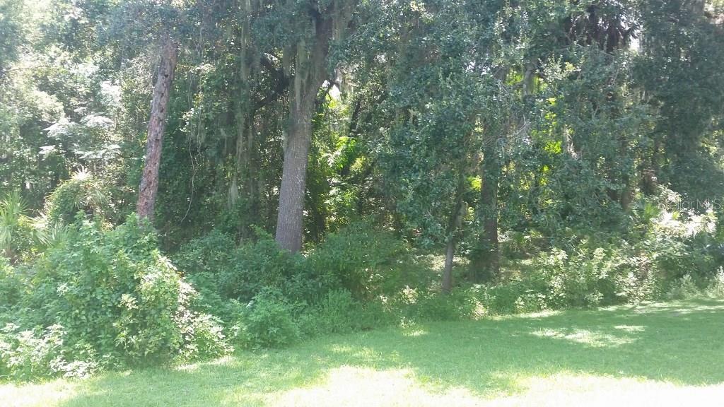 823 Debary Ave Property Photo 22