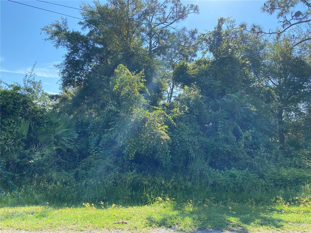 Morgan Paper St Property Photo 1