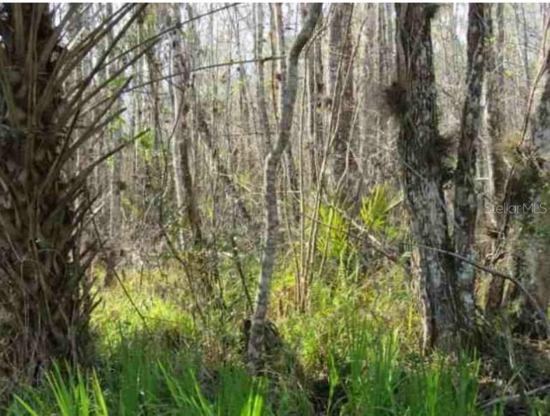 BLUE CREEK ROAD Property Photo 1