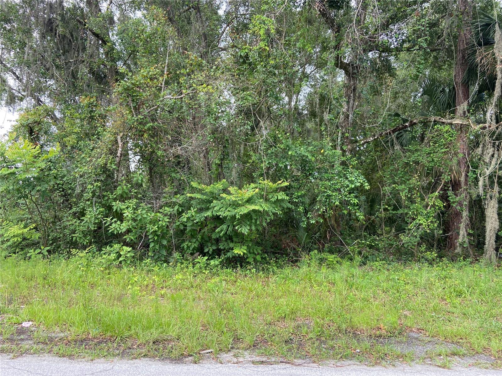 Wilson Ave Property Photo 1