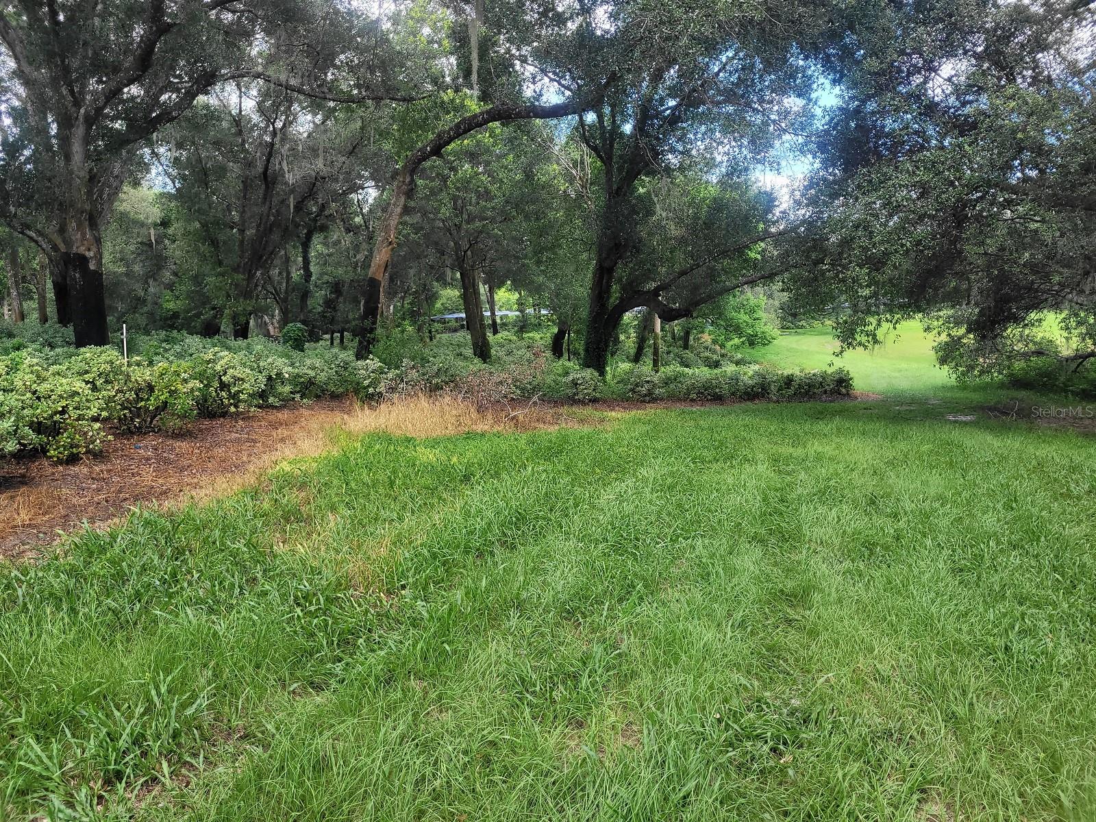 Minshew Rd Property Photo 3