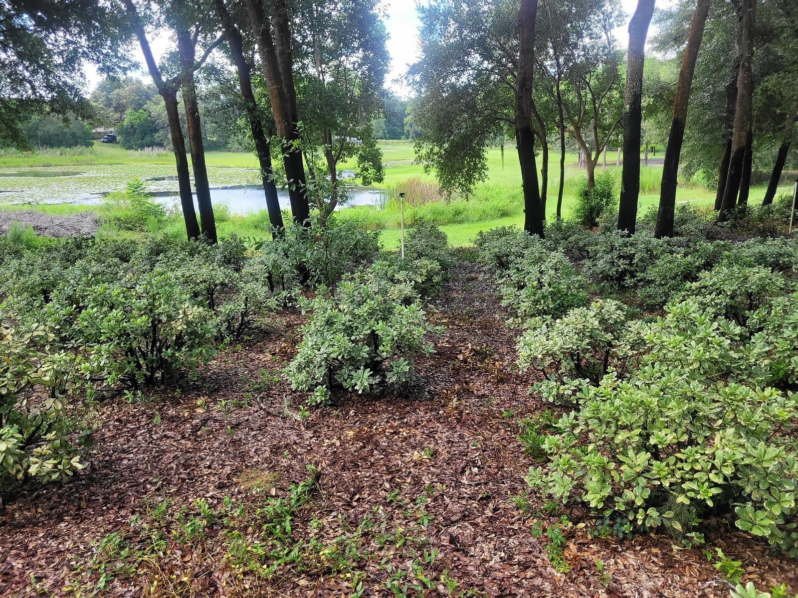 Minshew Rd Property Photo 4